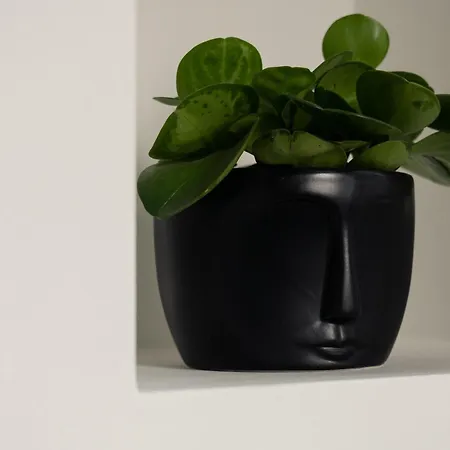 Premium By The Danube With Ac