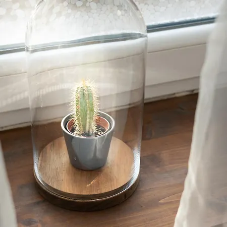 Premium By The Danube With Ac *