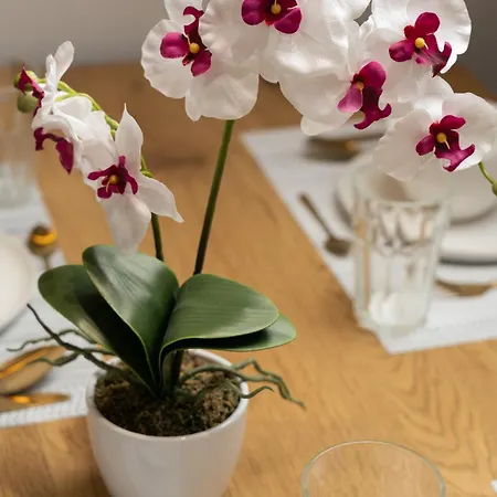 Premium By The Danube With Ac *