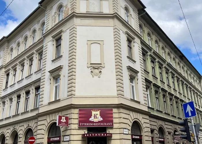 Premium By The Danube With Ac